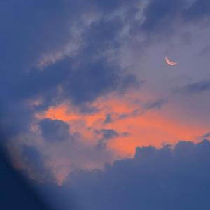 张柏芝荫荫毛泬HD
