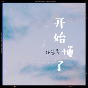 张柏芝荫荫毛泬HD
