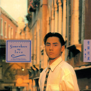 张柏芝荫荫毛泬HD
