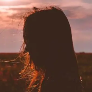 张柏芝荫荫毛泬HD
