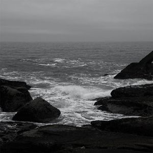 张柏芝荫荫毛泬HD
