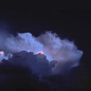 张柏芝荫荫毛泬HD
