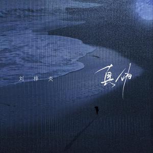 张柏芝荫荫毛泬HD
