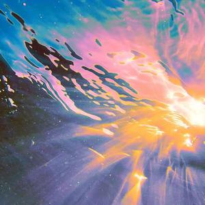 张柏芝荫荫毛泬HD
