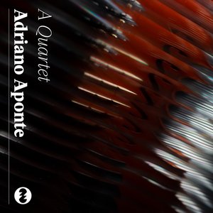 张柏芝荫荫毛泬HD
