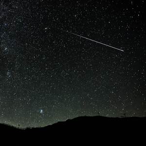 张柏芝荫荫毛泬HD
