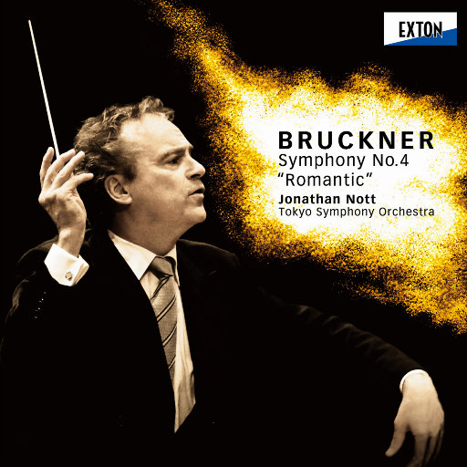 张柏芝荫荫毛泬HD
