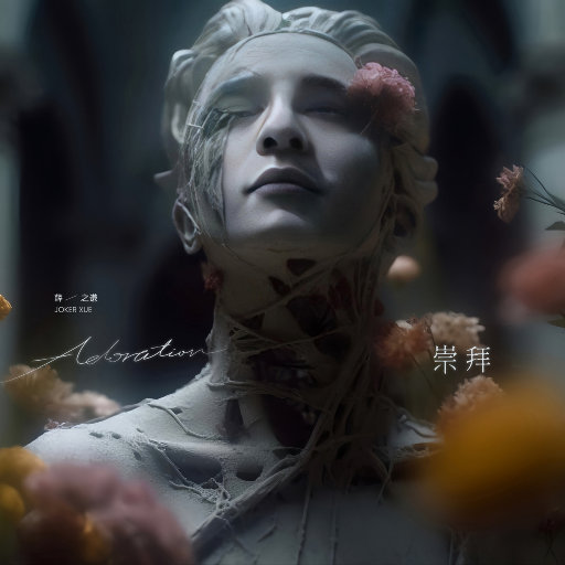 张柏芝荫荫毛泬HD
