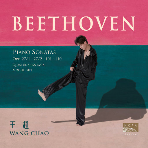 张柏芝荫荫毛泬HD
